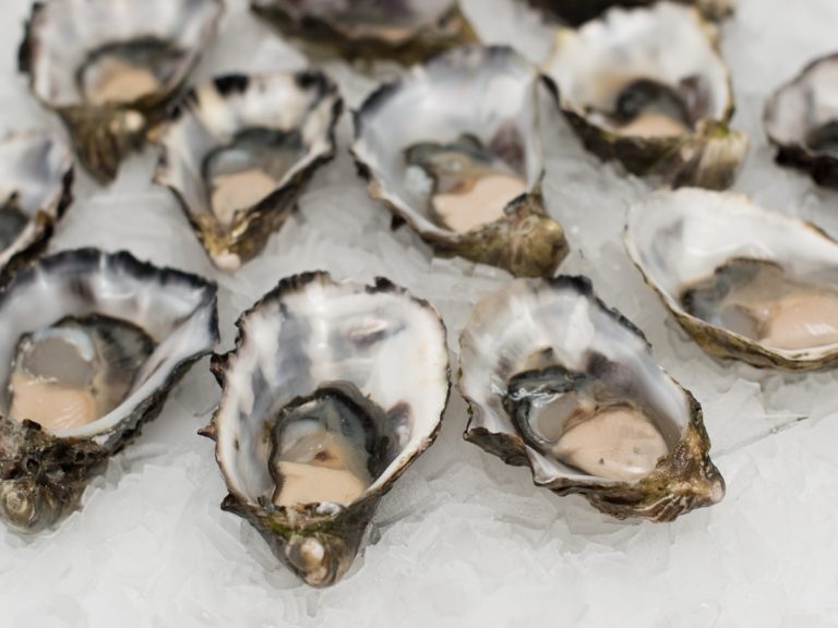 oysters-shell-fish-seafood-2220607